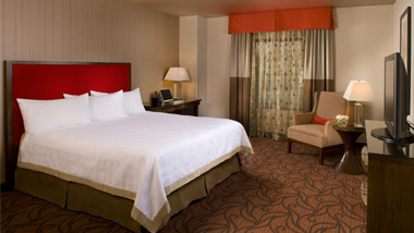 hotel room with king bed